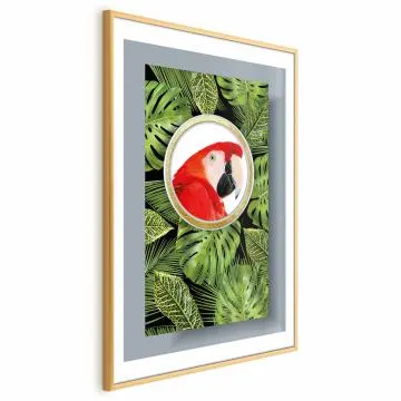 Plakat Papuga w dżungli 29,7x42 cm z ramą złotą z marginesem
