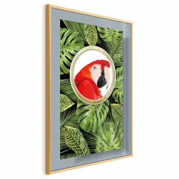 Plakat Papuga w dżungli 29,7x42 cm z ramą złotą bez marginesu