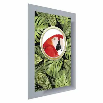 Plakat Papuga w dżungli 29,7x42 cm bez ramy bez marginesu