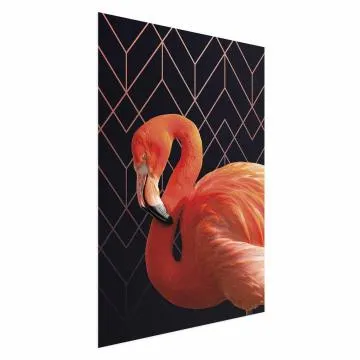Plakat Flaming solo 60x90 cm bez ramy bez marginesu