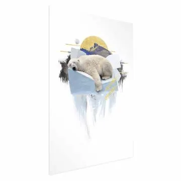 Plakat Niedźwiedź polarny 21x30 cm bez ramy bez marginesu