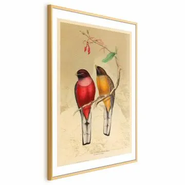 Plakat Ptaki na gałązce 40x60 cm z ramą złotą z marginesem