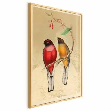Plakat Ptaki na gałązce 40x60 cm z ramą złotą bez marginesu