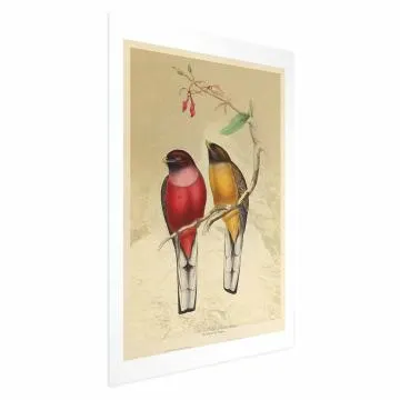 Plakat Ptaki na gałązce 40x60 cm bez ramy z marginesem