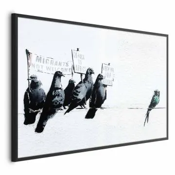 Plakat Ksenofobiczne gołębie 60x40 cm z ramą czarną bez marginesu