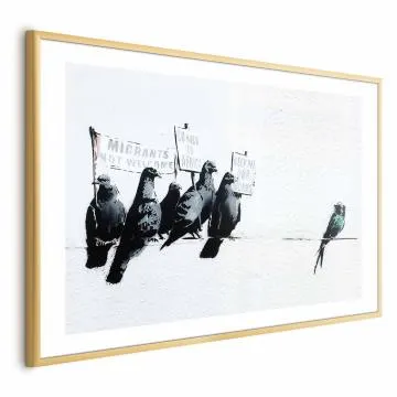 Plakat Ksenofobiczne gołębie 42x29,7 cm z ramą złotą z marginesem