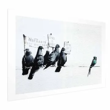 Plakat Ksenofobiczne gołębie 60x40 cm bez ramy z marginesem