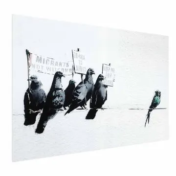 Plakat Ksenofobiczne gołębie 30x21 cm bez ramy bez marginesu