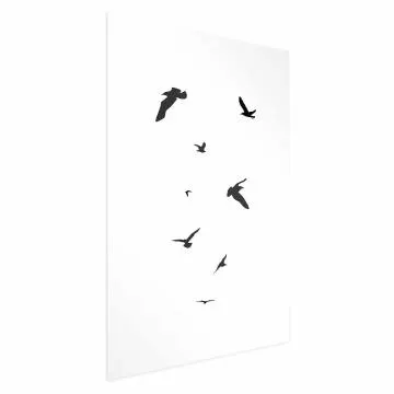 Plakat Wieczorny lot 40x60 cm bez ramy z marginesem
