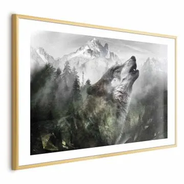 Plakat Wyjący wilk 60x40 cm z ramą złotą z marginesem
