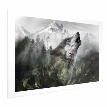 Plakat Wyjący wilk 60x40 cm bez ramy z marginesem