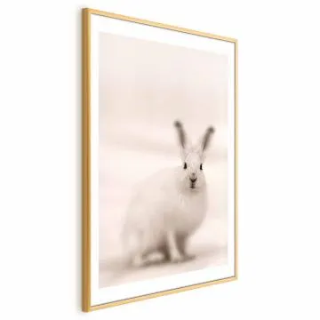 Plakat Strachliwe spojrzenie 29,7x42 cm z ramą złotą z marginesem
