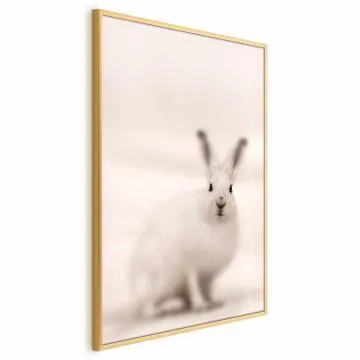 Plakat Strachliwe spojrzenie 60x90 cm z ramą złotą bez marginesu