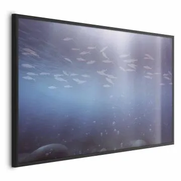 Plakat Rybki w głębinach 60x40 cm z ramą czarną bez marginesu