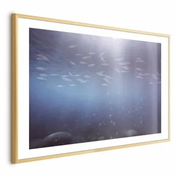 Plakat Rybki w głębinach 60x40 cm z ramą złotą z marginesem