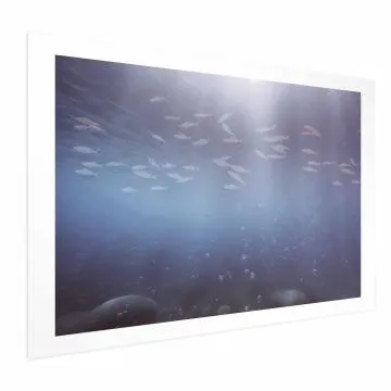 Plakat Rybki w głębinach 60x40 cm bez ramy z marginesem