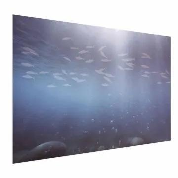 Plakat Rybki w głębinach 30x21 cm bez ramy bez marginesu