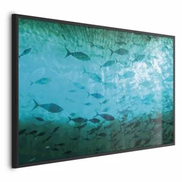 Plakat Gromada ryb 30x21 cm z ramą czarną bez marginesu