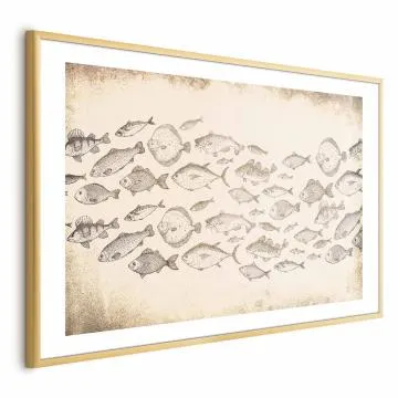 Plakat Subtelne rybki 60x40 cm z ramą złotą z marginesem