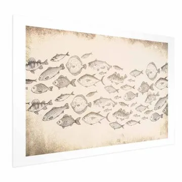 Plakat Subtelne rybki 60x40 cm bez ramy z marginesem
