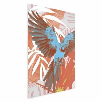 Plakat Egzotyczne skrzydła 40x60 cm bez ramy z marginesem