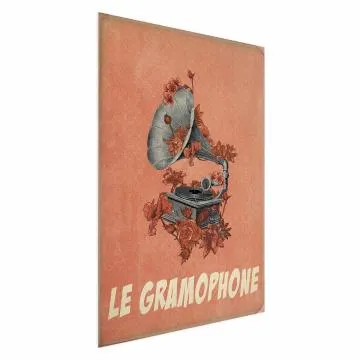 Plakat Gramofon 40x60 cm bez ramy bez marginesu