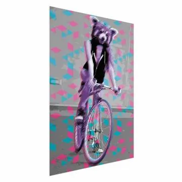 Plakat Szop na rowerze 40x60 cm bez ramy bez marginesu