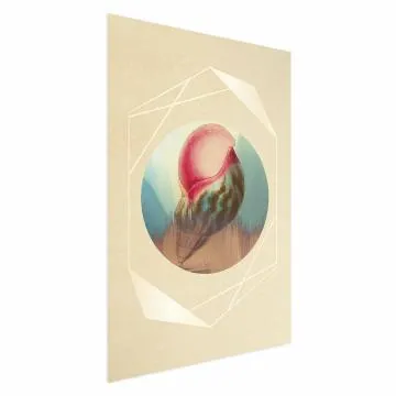 Plakat Muszla 21x30 cm bez ramy bez marginesu