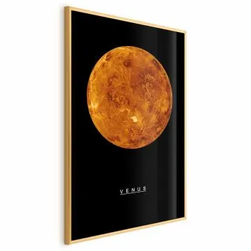 Plakat Wenus 40x60 cm z ramą złotą bez marginesu