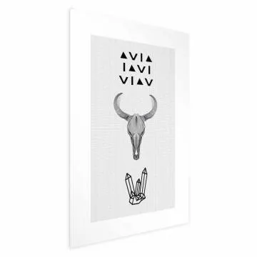 Plakat Zwierzęca czaszka 60x90 cm bez ramy z marginesem